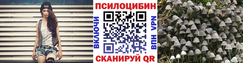 где продают наркотики Тбилисская Псилоцибиновые грибы мухоморы
